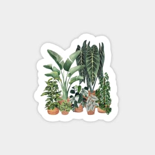 House Plants Illustration 16 Sticker